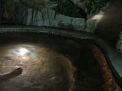 -海口观澜湖火山温泉谷