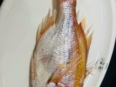 -吴记富苑(朝阳店)