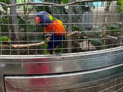 -大连森林动物园