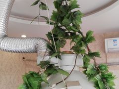 -老家大锅台(世纪城店)