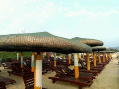 android_upload_pic-三亚亚龙湾凯莱仙人掌度假酒店