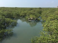 -北海金海湾红树林生态旅游区