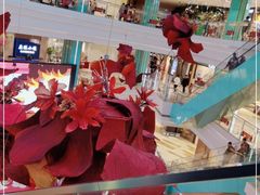 -大族广场Mall&More