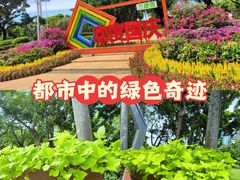 -万绿园
