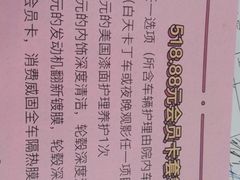 -枫花园汽车电影院(朝阳公园店)