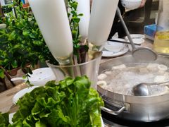 -探窝·竹笙椰子鸡(杨箕店)