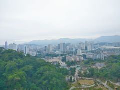 -金鸡山公园