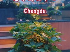 -合景·悠方(成都店)