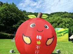 -龙寺生态园
