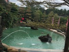 -森波拉火山温泉