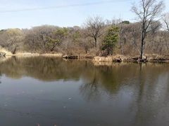 -沈阳市东陵公园