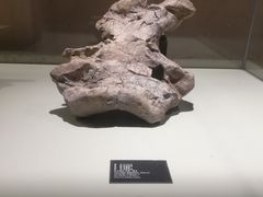 -世界恐龙谷景区