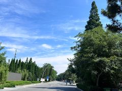 -日照海滨国家森林公园