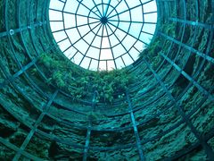 -西峡恐龙遗迹园