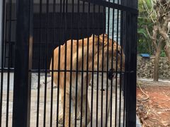 -广东茂名森林公园