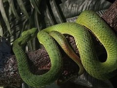 -昆明动物园