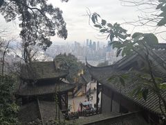 -南山植物园