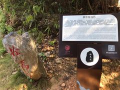 -酒仙湖景区