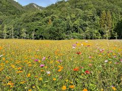 -贵阳市花溪国家城市湿地公园
