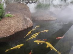 -罗红摄影艺术馆