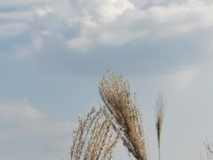 -东白山