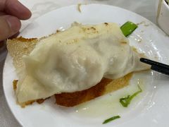 -陶然饺子城(奥体中路店)