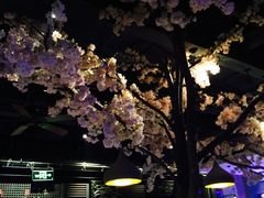 -蜜桃餐厅·江浙融合菜(荟聚购物中心店)