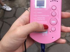 -都江堰中华大熊猫苑