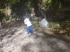 -牛背梁国家森林公园