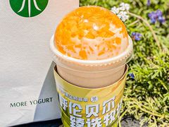 -茉酸奶(春熙路店)