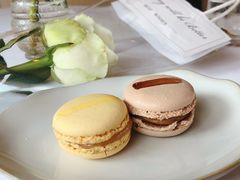 马卡龙-蝶舍·MAISON PAPILLON