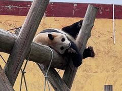 -杭州野生动物世界