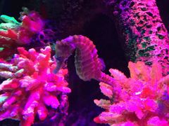 -沈阳海洋探索中心