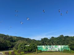 -深圳野生动物园