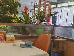 -洞庭家宴·头牌甲鱼(广渠门店)