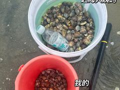 -北海金海湾红树林生态旅游区