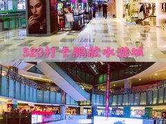 -鹏欣水游城