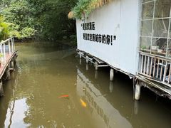 -芭厘农庄老字号·清远鸡
