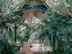 -中国科学院西双版纳热带植物园