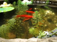 -白鹭原茶艺馆