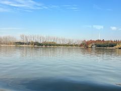 -溱湖国家湿地公园