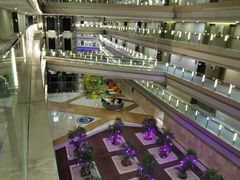 -南京禄口机场雅高铂尔曼大酒店