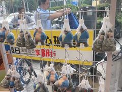 -味多美蛋糕(新和平里店)