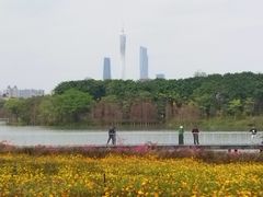 -海珠湖公园