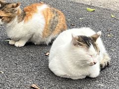 -鼓浪屿·八卦楼