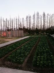 -前小桔亲子创意农场·草莓采摘·露营烧烤