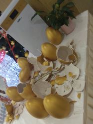 -宝生月子中心·独栋独院式(南山店)