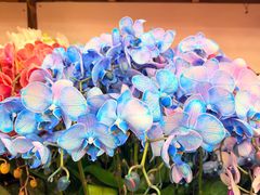 -双季花艺园艺市场(浦东店)