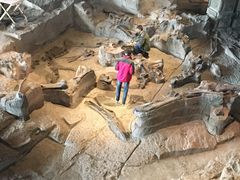 -自贡恐龙博物馆