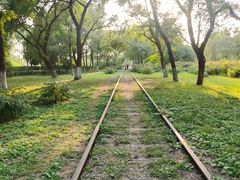 -永定河休闲森林公园